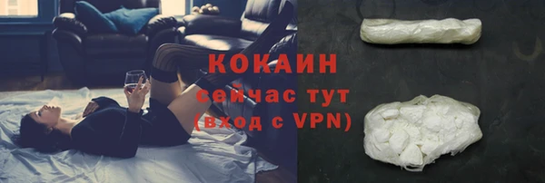 стаф Абинск