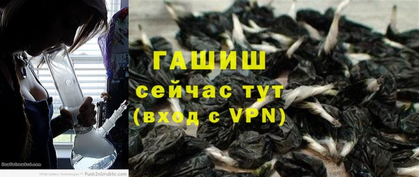 стаф Абинск
