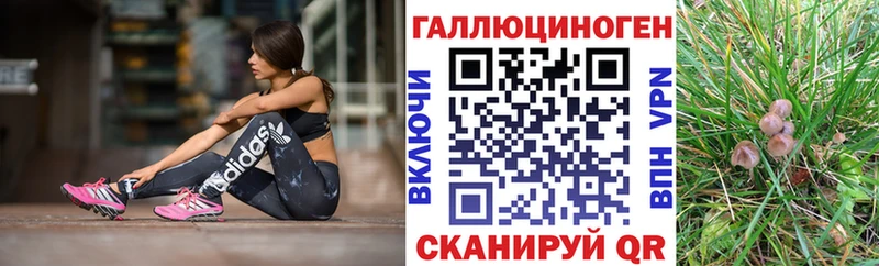 Псилоцибиновые грибы Cubensis  цены   блэк спрут ONION  Старая Купавна 